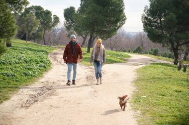 Güneşli bir kış gününde parkta küçük köpekleriyle yürüyen genç bir çift.