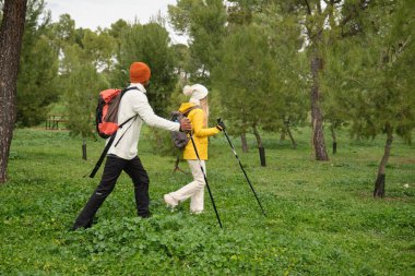 Yürüyüşçüler ormanda yürüyüş direkleri ve sırt çantalarıyla yürüyorlar.