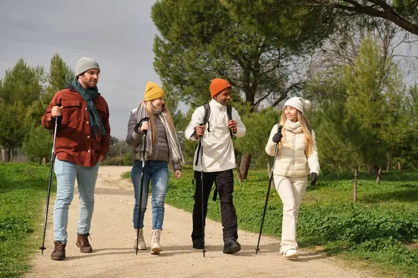 Doğa yürüyüşçüleri yürüyüş direklerini kullanır ve sağlıklı yaşam tarzının tadını çıkarırlar.