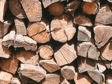 Orman bozulması ve orman tahribatı teması. Ağaç odunlarının fotoğrafı..