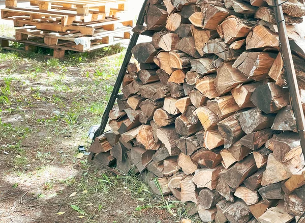 Das Thema Waldzerstörung Und Entwaldung Foto Von Baum Brennholz — Stockfoto