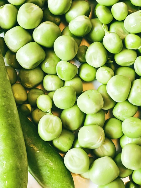 Sklizeň Ekologického Hrášku Zeleniny — Stock fotografie