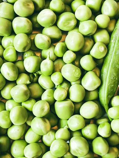 Cosecha Verduras Ecológicas Guisantes Verdes — Foto de Stock