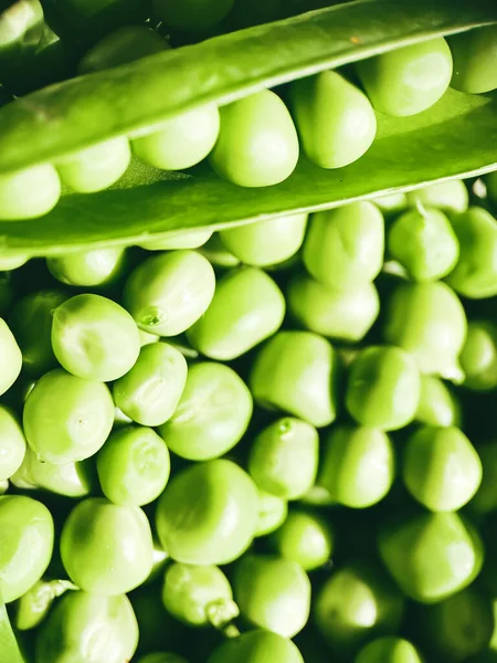Innhøsting Økologiske Grønnsaker Grønne Erter – stockfoto
