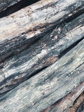 Şömine için odun, ağaç kesimi için odun.