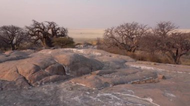 Güneş batarken Kubu Adası 'nda Botsvana, Afrika' da kayalar ve baobab ağacı var..