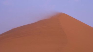 Namibya, Afrika 'daki Namib çölünde, kum tepecikleri üzerinde yürüyen insanlar. Yavaş Hareket.