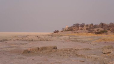 Afrika, Botswana 'da kayalar ve baobab ağacı olan Kubu adasında Pan.