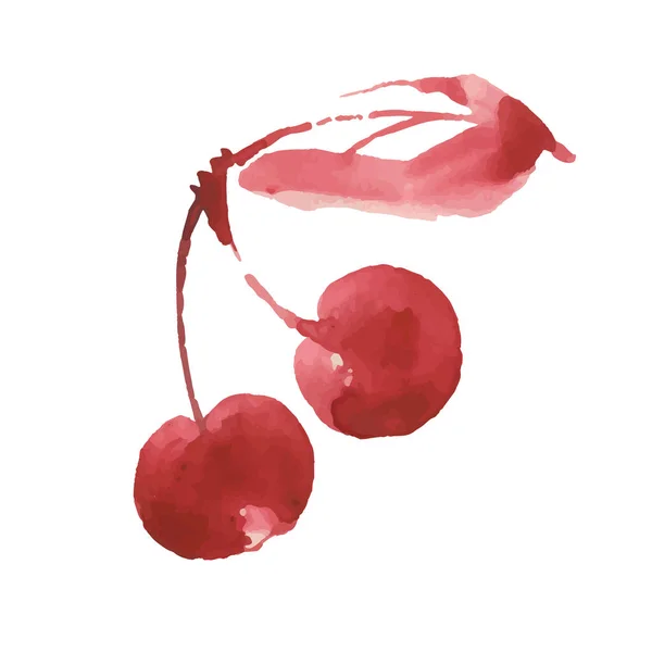 Cherry Vector Sketch Icon Isolated Background Hand Drawn Watercolor Brush — Stock Vector