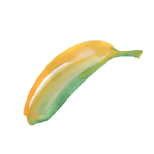 Ikona Szkicu Wektora Bananów Odizolowana Tle Ręcznie Rysowane Ilustracja Akwarela — Wektor stockowy