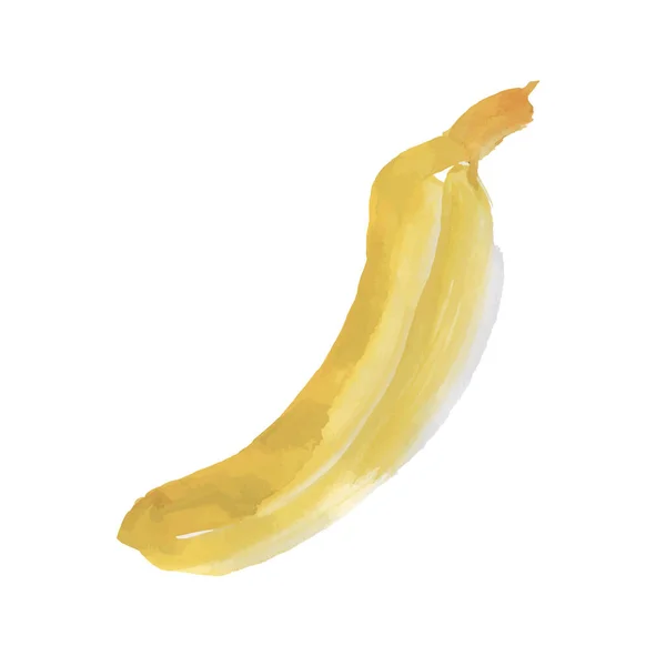 Bananen Vektor Skizzen Symbol Isoliert Auf Dem Hintergrund Handgezeichnete Aquarellzeichnung — Stockvektor
