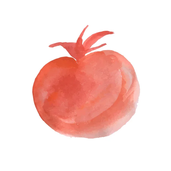 Icono Dibujo Vector Tomate Aislado Fondo Ilustración Acuarela Dibujada Mano — Archivo Imágenes Vectoriales