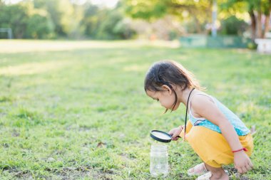 Cam kavanozlardaki böceklere bakmak için büyüteç kullanan tatlı bir kız. Bilimle ilgili gözlemleri kullanmayı öğren..