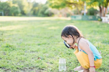 Cam kavanozlardaki böceklere bakmak için büyüteç kullanan tatlı bir kız. Bilimle ilgili gözlemleri kullanmayı öğren..