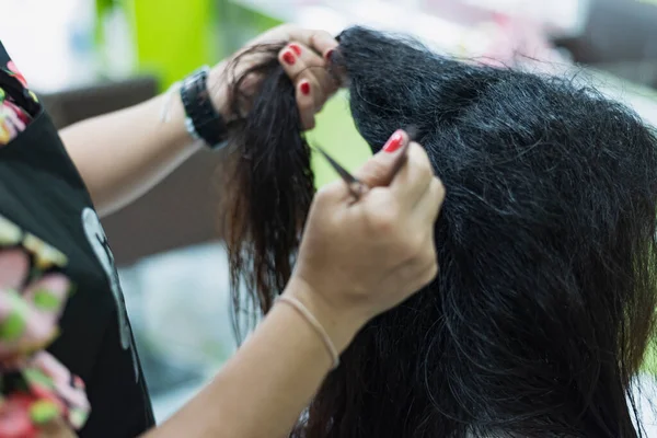 Hairdresser trims black hair with scissors.