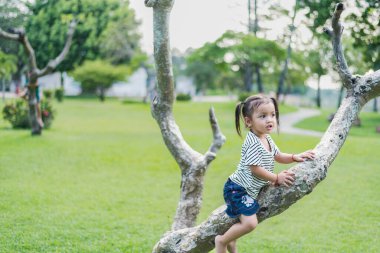 Yazlık bir parkta ağaca tırmanan bir kız çocuğu. Doğadaki çocuğun sağlıklı oyun ve gelişimi kavramı