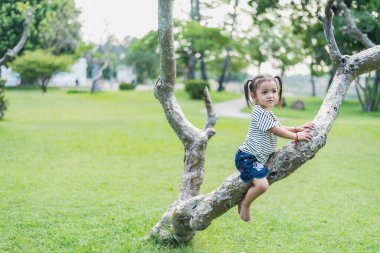 Yazlık bir parkta ağaca tırmanan bir kız çocuğu. Doğadaki çocuğun sağlıklı oyun ve gelişimi kavramı