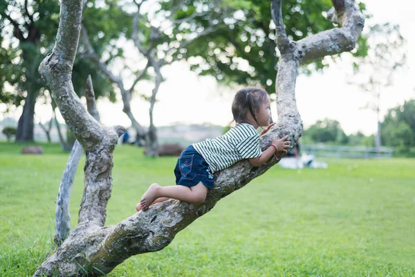Menina Brincando Escalada Uma Árvore Parque Verão Livre Conceito Jogo — Fotografia de Stock