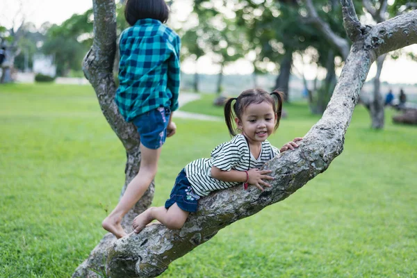 Девочка Играет Дереве Летнем Парке Открытым Небом Концепция Здоровой Игры — стоковое фото