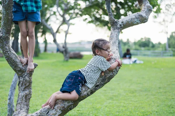 Menina Brincando Escalada Uma Árvore Parque Verão Livre Conceito Jogo — Fotografia de Stock