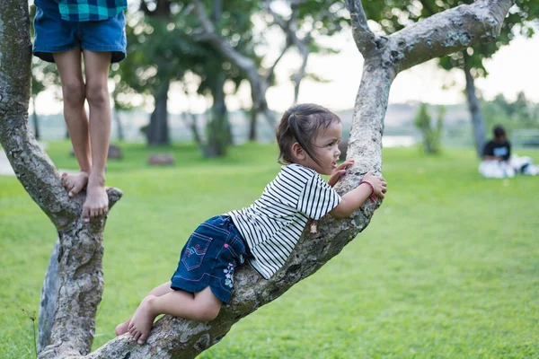 Child girl playing climbing on a tree in a summer park outdoor. Concept of healthy play and development of the child in nature