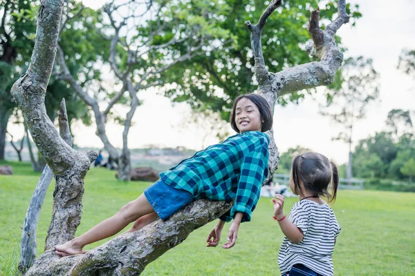 Sudeste Asiático Menina Escalando Uma Árvore Para Explorar Natureza Crianças — Fotografia de Stock
