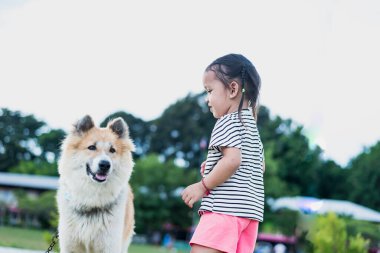 Doğada köpeği olan bir çocuk. Gün batımında yeşil çimlerde oynayan bir kız..