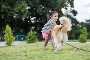 Doğada köpeği olan bir çocuk. Gün batımında yeşil çimlerde oynayan bir kız..