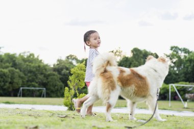 Doğada köpeği olan bir çocuk. Gün batımında yeşil çimlerde oynayan bir kız..