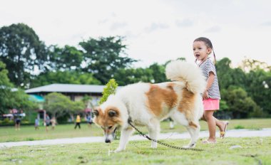 Doğada köpeği olan bir çocuk. Gün batımında yeşil çimlerde oynayan bir kız..