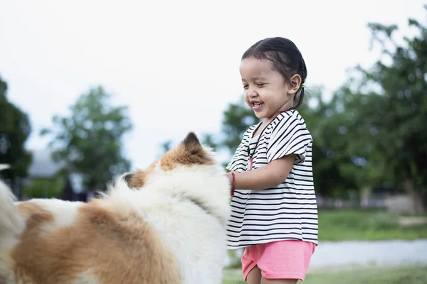 Doğada köpeği olan bir çocuk. Gün batımında yeşil çimlerde oynayan bir kız..