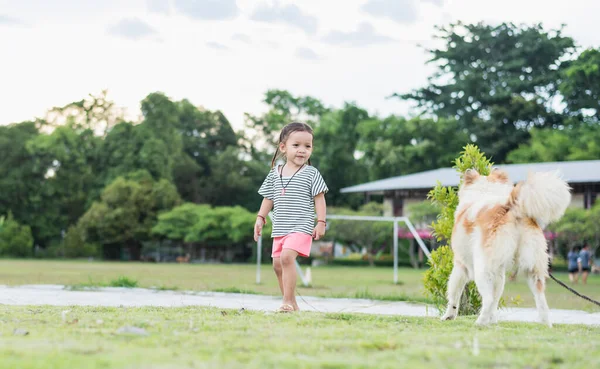 Uma Criança Com Cão Natureza Menina Brincando Com Cão Grama — Fotografia de Stock