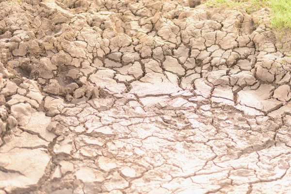 Cracked Brown Soil Barren Wasteland Surface Natural Background Deep Focus — Stock Photo, Image