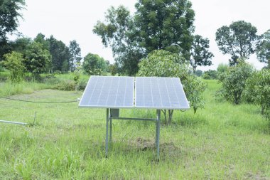 Güneş paneli. Arka plan tarımsal pirinç tarlası..