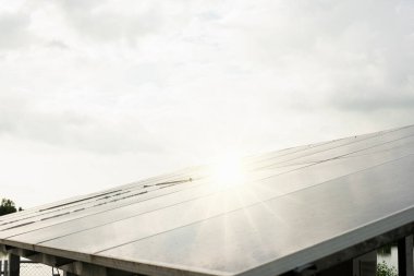 Kırsal tarım güneş panelleri sera güneş enerjisi santrali mavi güneş paneli alternatif elektrik kaynakları güneş çiftliği.