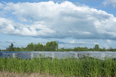 Güneş paneli jeneratörü hücre Alternatif elektrik kaynakları gelecekteki dünya için Sürdürülebilir alternatif kaynaklar kavramı.