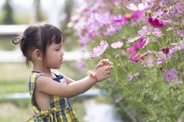 Dişi eller arka plandaki çiçeklere dokunur. Bahçedeki güzel çiçekler ve yeşil yapraklarla. Kadınların elleri, doğal bir Asya çiçek bahçesinin güzelliğine dokunur ve zevk alır..