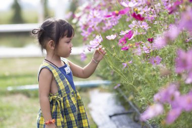 Dişi eller arka plandaki çiçeklere dokunur. Bahçedeki güzel çiçekler ve yeşil yapraklarla. Kadınların elleri, doğal bir Asya çiçek bahçesinin güzelliğine dokunur ve zevk alır..