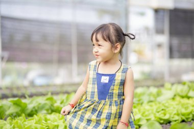 İlkbaharda taze salata yetiştiren küçük şirin anaokulu çocuğu küçük bir çocuk bahçıvanlıktan memnun. Çocuklar evde sebze yetiştirmeye yardım ediyor..