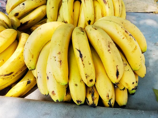 Grupo Frutas Musa Banana — Foto de Stock