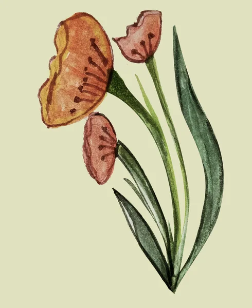 Тюльпан Акварельна Квітка Залишити — стокове фото