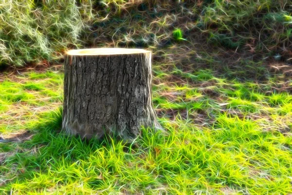Ein Baumstumpf Mit Leuchtschrift Auf Der Wiese — Stockfoto