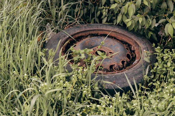 Staré Auto Pneumatiky Jako Znečištění Životního Prostředí Louce Přírodě — Stock fotografie