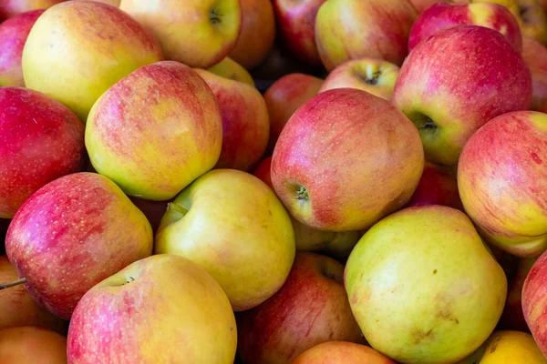 Manzanas Frescas Cosechadas Primavera Con Vistas Desde Arriba —  Fotos de Stock