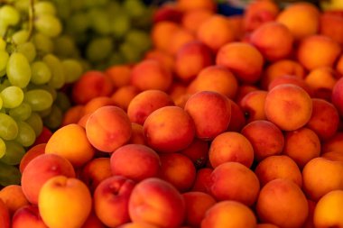 Şehirdeki bir meyve standında seçici bir odak noktasında taze kayısılar.