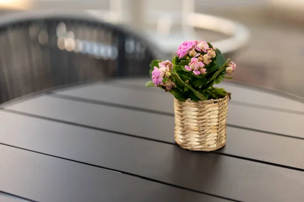 Una Pequeña Decoración Flores Una Mesa —  Fotos de Stock