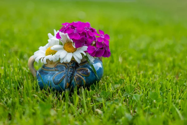 Flower Decoration Cup Meadow — Stock Photo, Image