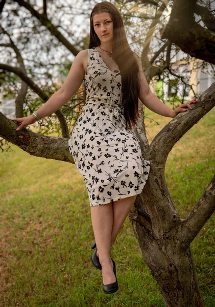 Woman White Summer Dress Sitting Tree Summer — Stock Photo, Image
