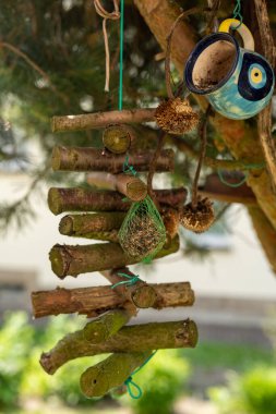 Yazın ağaçtaki kuşlar için bir beslenme yeri.