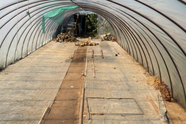 Yazın büyük boş bir sera.